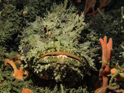 LANDS' END SCUBA - All You Need to Know BEFORE You Go 2026 (with Photos ...
