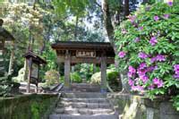 Image result for Emem JavaScript Framowork