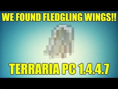 Rare Fledgling Wings Seed Found!! Terraria PC 1.4.4.7 - YouTube