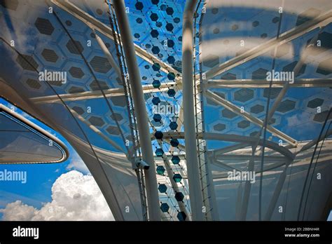 Wood Structure Building 的图像结果