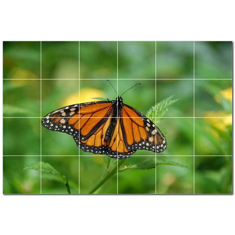 Picture-Tiles.com Butterfly Photo 4.25'' x 4.25'' Satin Ceramic ...