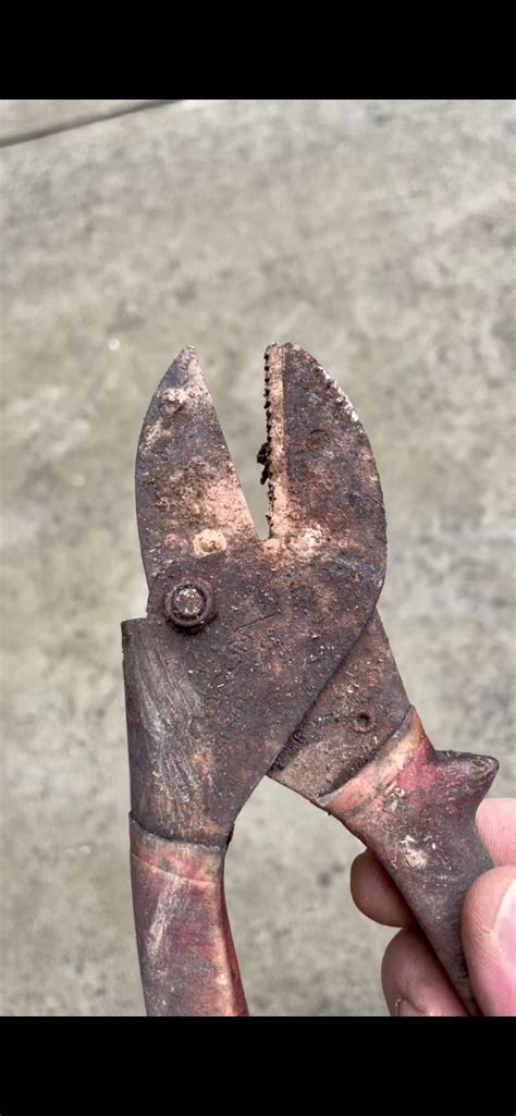 Image result for How to Clean Rust Off Clipper