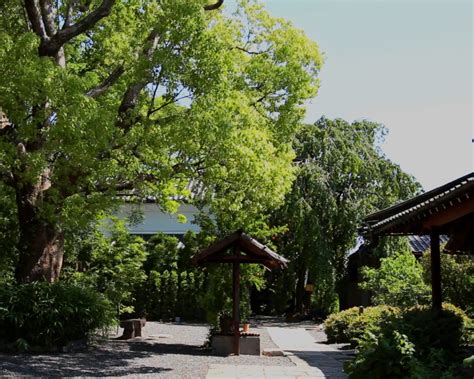 Flasks Hip for for 【新品】 SMLZV スキットル Steel Men,Portable Liquor Portable ...