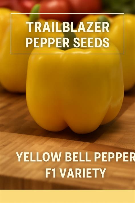 Trailblazer Pepper Seeds | Yellow Bell Pepper F1 Variety | Grow from ...