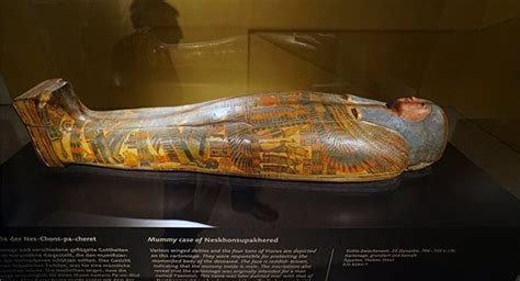 专家：埃及5000年前木乃伊身上发现世界最古老纹身|埃及|木乃伊|纹身_新浪新闻
