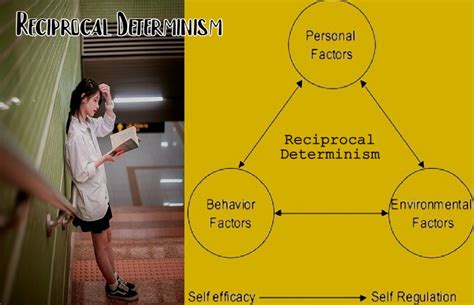 Image result for Reciprocal Determinism Model Example