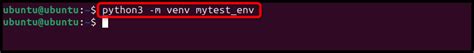 Create Python Virtual Environment Ubuntu 的图像结果