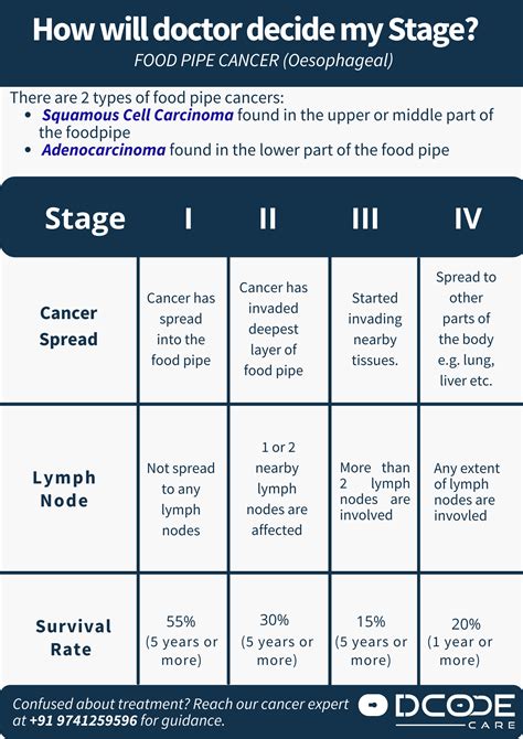 What Is Oesophageal Cancer? Types, Signs and Stages of Oesophageal Cancer | DCode Care