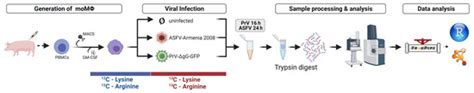 Mass-Spectrometric Evaluation of the African Swine Fever Virus-Induced ...
