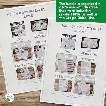 Morphology Activities Bundle by Emily Gibbons The Literacy Nest | TPT