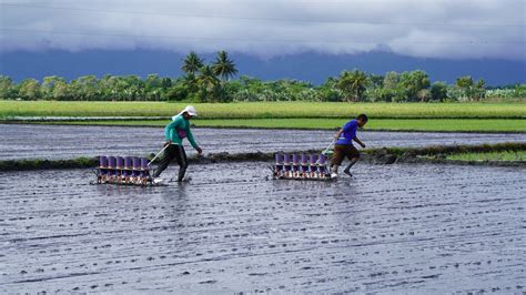 Engineering a better harvest: How this homegrown palay seeder is ...