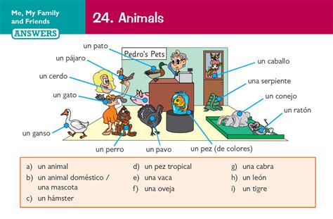 GCSE AQA Spanish: Vocabulary Revision Question | Ubuy India