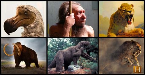 Image result for Cloning Extinct Animals