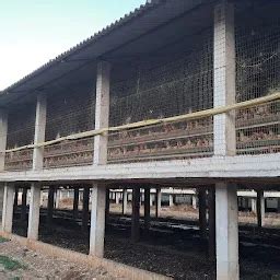 Best Top Rated Poultry farm in Lokikere, Karnataka, India | Yappe.in