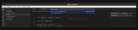 Debugging Node.js in vs Code 的图像结果