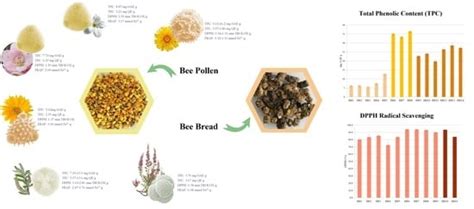 Bee Collected Pollen and Bee Bread: Bioactive Constituents and Health ...