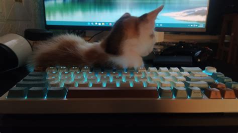 Change Keyboard LED Color 的图像结果