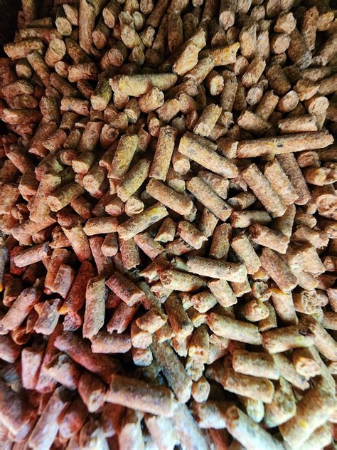 Optimal Crude Protein Balance with AntlerXtreme's All-N-One Feed ...