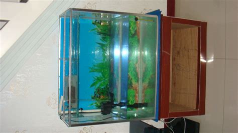 【鱼缸制作教程】鱼缸制作设计图 自制鱼缸方法详解→MAIGOO知识