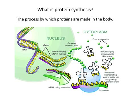 Image result for Gene Decoding