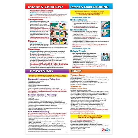 Buy First Aid Poster for Infants and Children - Laminated, 12 x 18 in ...