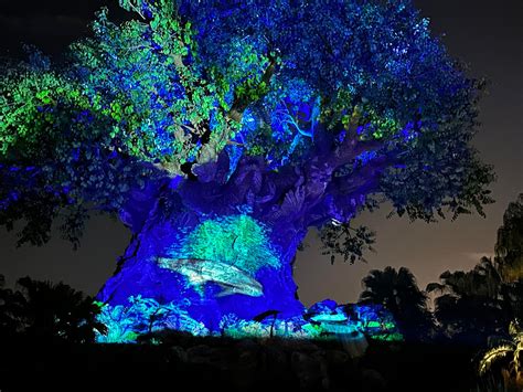 Avatar Tree 的图像结果