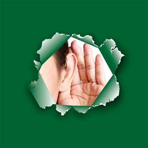 Licensing fee review 2025-2026 | Have Your Say Three Rivers