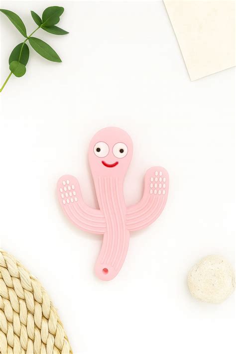 Silicone Cartoon Teether - Cactus (Pink) – Nestlooms