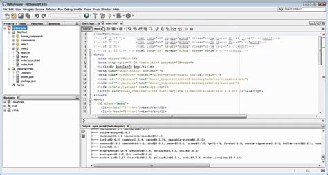 Configure Java Panel 的图像结果