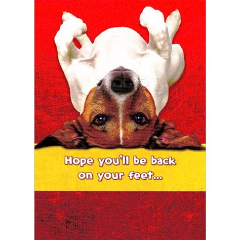 Upside Down Dog Back On Your Feet Funny / Humorous Get Well Card ...