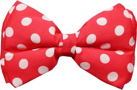Lana Paws Red Polka Dots Dog Bow Tie/Bowtie, S-M : Amazon.in: Pet Supplies