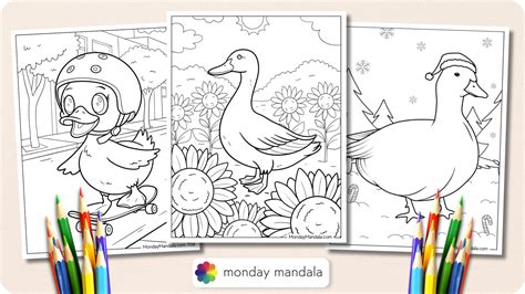 Baby Ducks Coloring Sheet [2025]