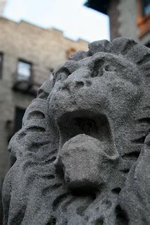 Image result for Toothless Homeless