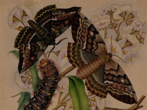 Ink Time Machine: TATTOO History & SYMBOLISM Revealed!