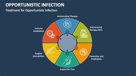 Image result for Opportunistic Pathogen