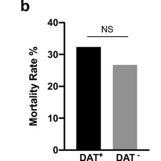 Image result for Dat Positive