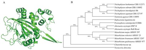The Effects of swnH1 Gene Function of Endophytic Fungus Alternaria ...