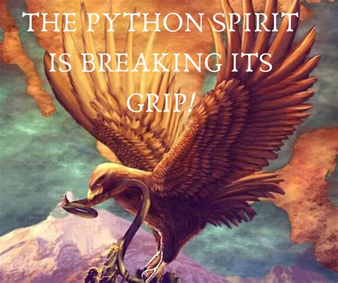 Spirit of Python Prayer 的图像结果