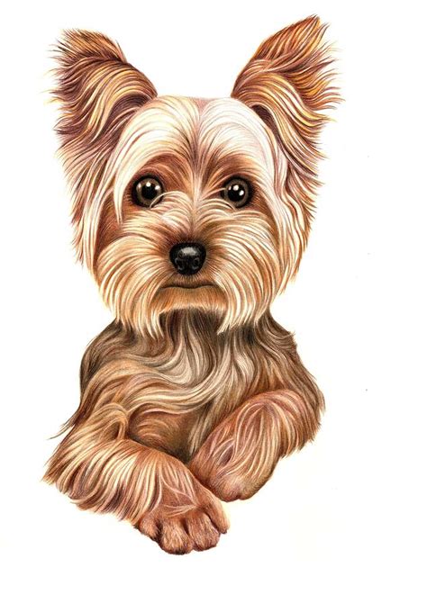 Image result for Thread Issue Examples