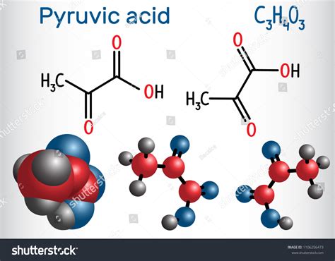 Image result for Pyruvate Molecule