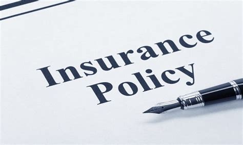 Insurance Policy Explained 的图像结果