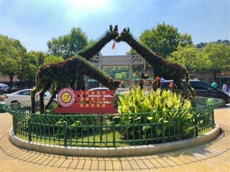 2021红山森林动物园门票,南京红山森林动物园游玩攻略,红山森林动物园游览攻略路线/地址/门票价格-【去哪儿攻略】