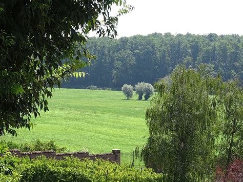 Country Pics 的图像结果