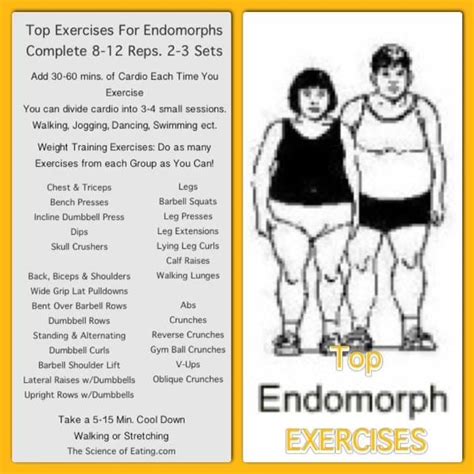Image result for Body Type Endomorph Workout Routine