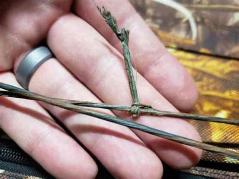 Image result for Bow String Fraying