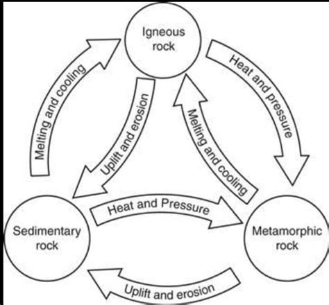 Explain the Rock cycle with the help of a well labelled diagram. _(FFJ ...