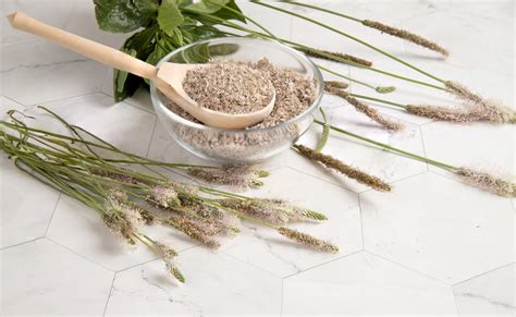 Whole Psyllium Husk vs. Powder: Which Fiber Supplement Is Best for You ...