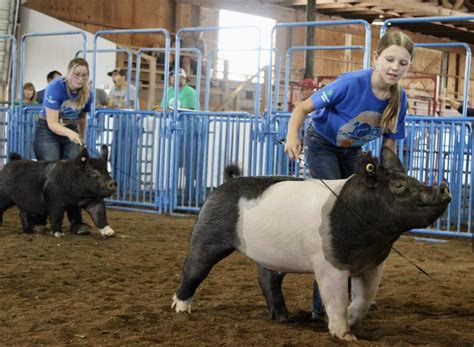 Boone County Fair | Boone, Iowa | Travel Iowa