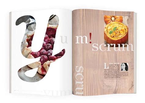 Image result for Simple Design in InDesign