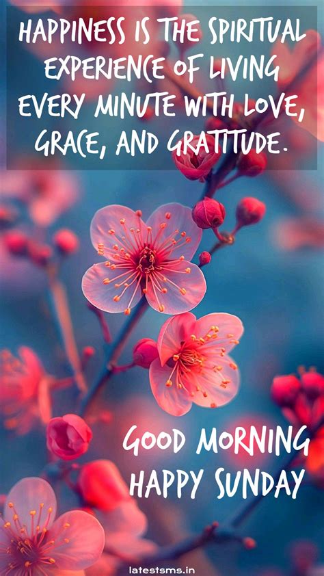 Good Morning Happy Sunday Images to Wish Someone A Happy Sunday ...